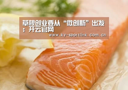 草根创业要从“微创新”出发：开云官网(图3)