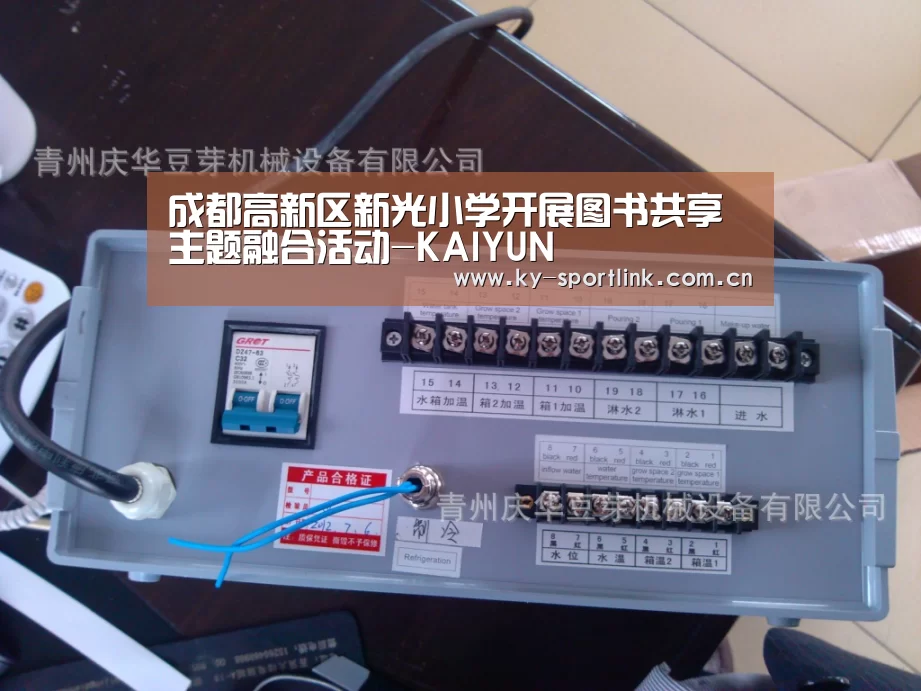 开云热门赛事