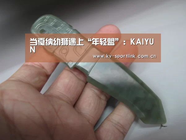 当戛纳幼狮遇上“年轻盟”:KAIYUN(图2) 开云官网