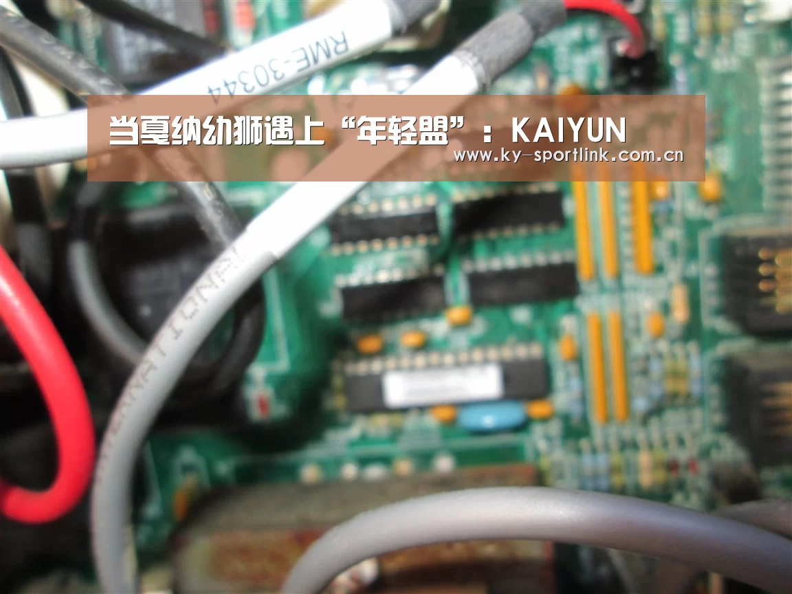 当戛纳幼狮遇上“年轻盟”:KAIYUN(图3) 当戛纳幼狮遇上“年轻盟”:KAIYUN(图3)