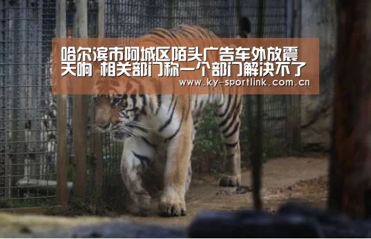 开云官网