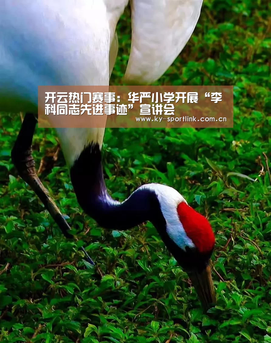 开云热门赛事:华严小学开展“李科同志先进事迹”宣讲会(图1) 开云官网