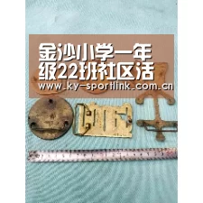 金沙小学一年级22班社区活动:探索叶子里的秘密-开云热门赛事(图2) 开云官网