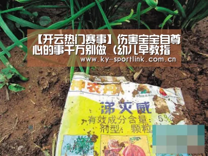 开云体育官网