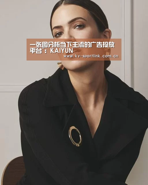 一张图分析当下主流的广告投放平台~:KAIYUN(图2) 开云体育官网