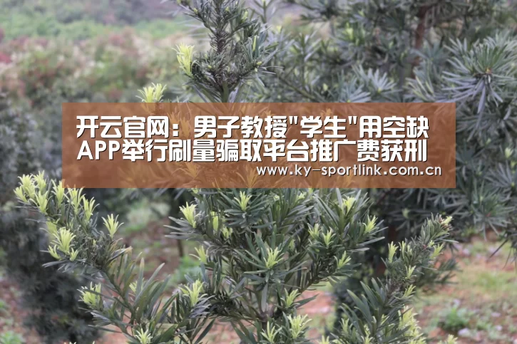 开云体育官网