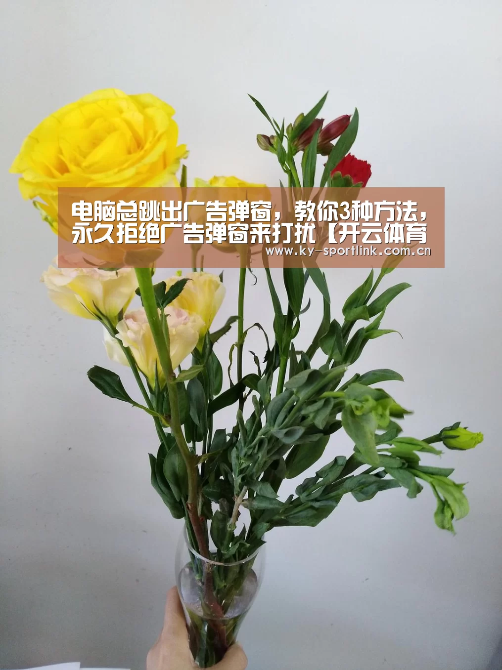电脑总跳出广告弹窗,教你3种方法,永久拒绝广告弹窗来打扰【开云体育官网】(图2) 开云官网